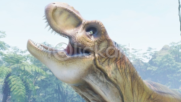 사람없음 3D JPG 해외이미지 고생물 숲 야생동물 야외 육식공룡 입벌림 주간 쥬라기 티라노사우루스 풀(식물) 한마리