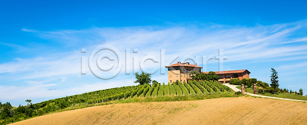사람없음 JPG 포토 해외이미지 계절 나무 내추럴 농경지 농업 농장 땅 마을 밭 밭일 산기슭 수확 시골 식물 야외 양조장 언덕 여행 와인 이탈리아 자연 주택 초록색 파노라마 파란색 포도 포도나무 포도밭 피에몬테 하늘 해외포토