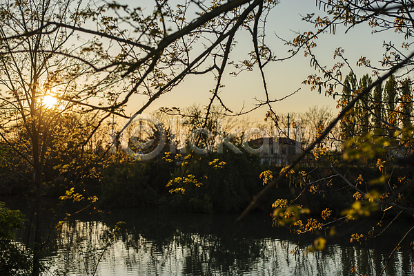사람없음 JPG 실루엣 포토 해외이미지 가을(계절) 공원 나무 나뭇가지 숲 아침 야외 주간 태양 풍경(경치) 호수