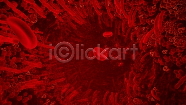 사람없음 3D JPG 포토 해외이미지 빨간색 세포 적혈구 혈구