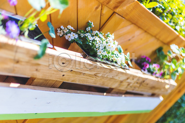 활발 사람없음 JPG 포토 해외이미지 DIY 꽃 꽃무늬 목재 미술 발코니 벽 봄 뷰티 상자 식물 야외 외관 장식 정원