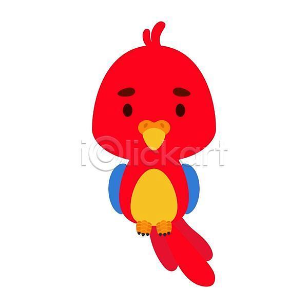 귀여움 사람없음 EPS 일러스트 해외이미지 만화 빨간색 새캐릭터 앵무새