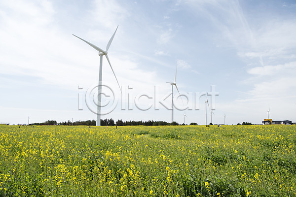 사람없음 JPG 포토 구름(자연) 바람 봄 봄풍경 야외 에너지 에코 여행 유채 유채밭 자연 제주도 주간 풍경(경치) 풍력에너지 하늘 한국
