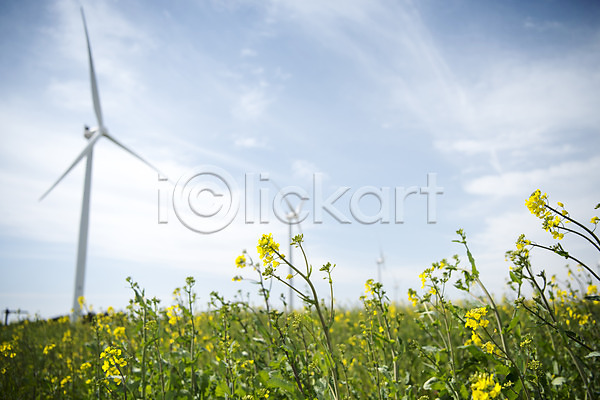 사람없음 JPG 아웃포커스 포토 구름(자연) 바람 봄 봄풍경 야외 에너지 에코 여행 유채 유채밭 자연 제주도 주간 풍경(경치) 풍력에너지 하늘 한국