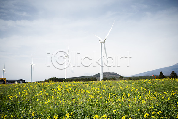 사람없음 JPG 포토 구름(자연) 바람 봄 봄풍경 야외 에너지 에코 여행 유채 유채밭 자연 제주도 주간 풍경(경치) 풍력에너지 하늘 한국