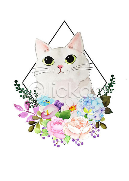 감성 귀여움 화려 사람없음 PSD 일러스트 고양이 꽃 나뭇잎 반려동물 반려묘 밝음 붓터치 수채화(물감) 식물 잎 한마리