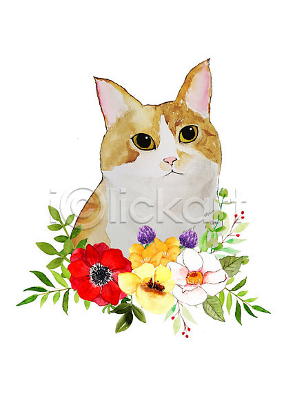감성 귀여움 화려 사람없음 PSD 일러스트 고양이 꽃 꽃잎 반려동물 반려묘 밝음 붓터치 수채화(물감) 식물 잎 한마리