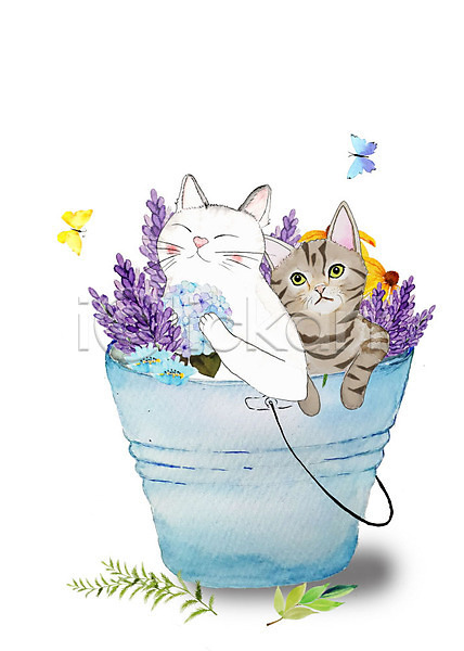 감성 귀여움 화려 사람없음 PSD 일러스트 고양이 꽃 나뭇잎 나비 두마리 반려동물 반려묘 밝음 붓터치 수채화(물감) 식물 양동이