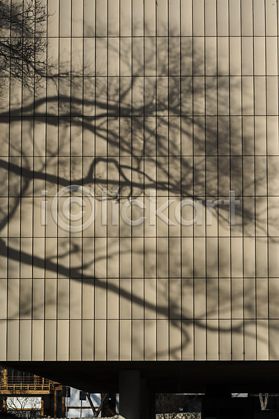 빈티지 사람없음 JPG 근접촬영 포토 그림자 나뭇가지 백그라운드 벽 야외 주간 질감 타일 타일벽 패턴