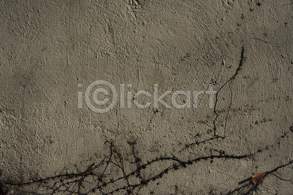 빈티지 사람없음 JPG 근접촬영 포토 덩굴 돌벽 백그라운드 베이지색 벽 야외 주간 질감