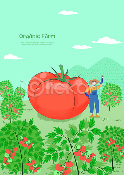 기쁨 신선 남자 사람 성인 성인남자한명만 청년 한명 PSD 일러스트 구름(자연) 농부 농사 농작물 농장 민트색 밭농사 보람(만족) 산 여름(계절) 유기농 전신 초록색 컬러풀 토마토