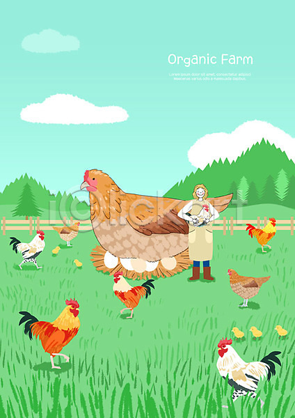 기쁨 신선 사람 성인 성인여자한명만 여자 청년 한명 PSD 일러스트 계란 농부 농장 닭 병아리 보람(만족) 수탉 숲 암탉 양계장 여러마리 유기농 잔디 전신 초록색 초원(자연) 컬러풀