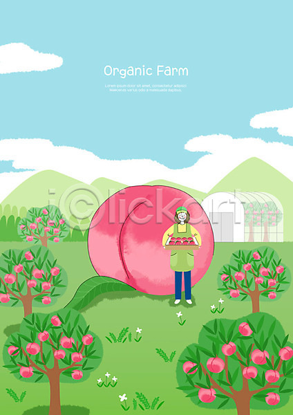 기쁨 신선 사람 성인 성인여자한명만 여자 청년 한명 PSD 일러스트 과수원 구름(자연) 농부 농사 농작물 농장 보람(만족) 복사나무 복숭아 비닐하우스 여름(계절) 유기농 전신 파란색 하늘