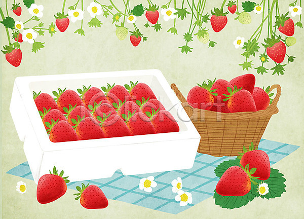 사람없음 PSD 일러스트 과일 딸기 딸기꽃 바구니 선물상자 선물세트 식탁보 음식 지역 특산물