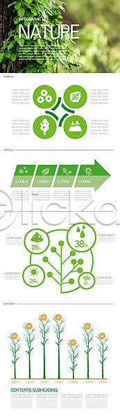 과정 변화 성장 사람없음 AI(파일형식) 일러스트 그래프 꽃 나뭇잎 식물 열매 인포그래픽 자연 초록색 화살표