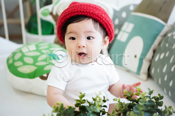 귀여움 보호 성장 즐거움 아기 여자 여자아기한명만 한국인 한명 JPG 근접촬영 앞모습 포토 놀람 모자(잡화) 상반신 스튜디오촬영 식물 실내 앉기 응시