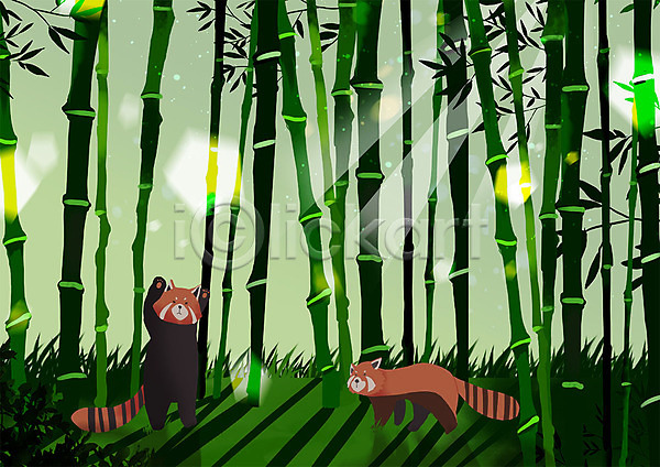 따뜻함 사람없음 PSD 일러스트 그림자 대나무 동물 동물원 두마리 레서판다 숲 응시 초록색 태양 햇빛