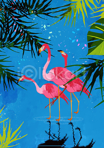 따뜻함 사람없음 PSD 일러스트 그림자 동물 동물원 반사 분홍색 세마리 열대식물 조류 파란색 플라밍고