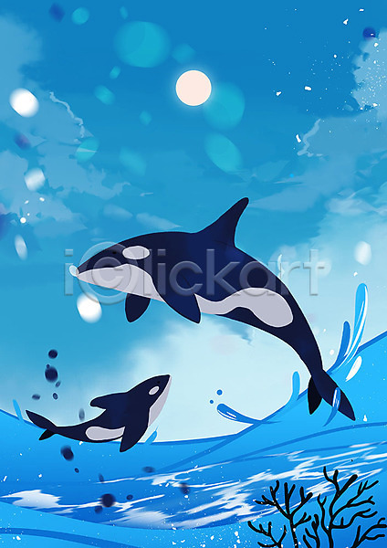 따뜻함 사람없음 PSD 일러스트 달 돌고래 동물 동물원 두마리 바다 범고래 수영 점프 파도 하늘 하늘색