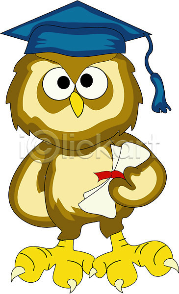 상상 사람없음 EPS 일러스트 동물 부엉이 뻐꾸기(새) 조류 졸업 졸업장 척추동물 캐릭터 클립아트 학사모