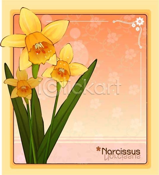 사람없음 EPS 일러스트 템플릿 겨울꽃 꽃 꽃백그라운드 노란색 백그라운드 수선화 식물 자연 컬러