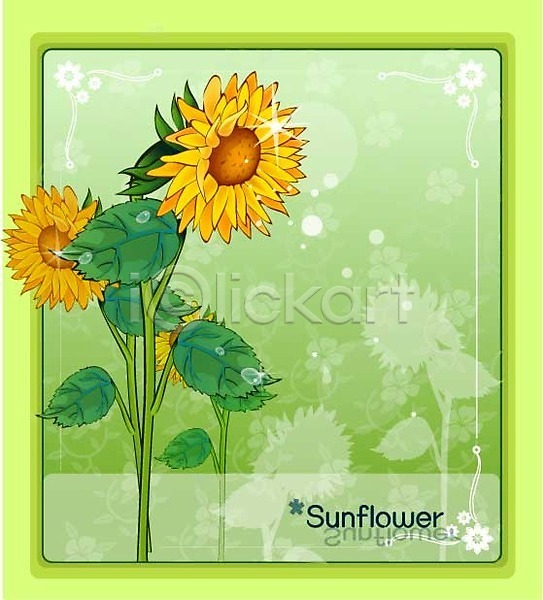 사람없음 EPS 일러스트 템플릿 꽃 꽃백그라운드 노란색 백그라운드 식물 여름꽃 자연 컬러 해바라기