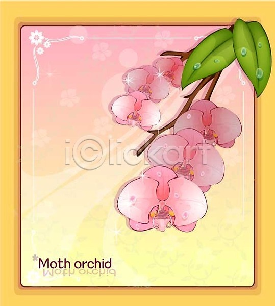 사람없음 EPS 일러스트 템플릿 꽃 꽃백그라운드 난초 백그라운드 분홍색 식물 자연 호접란