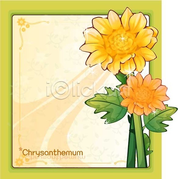 사람없음 EPS 일러스트 템플릿 가을꽃 국화 꽃 꽃백그라운드 노란색 백그라운드 식물 자연 컬러