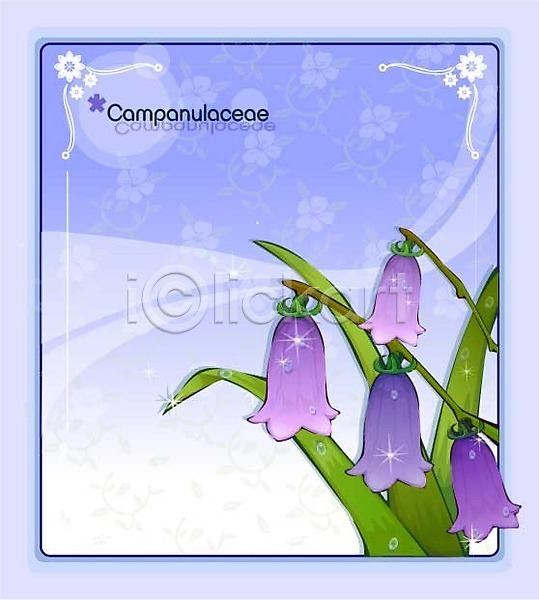 사람없음 EPS 일러스트 템플릿 꽃 꽃백그라운드 나리잔대 백그라운드 보라색 식물 여름꽃 자연 초롱꽃 컬러
