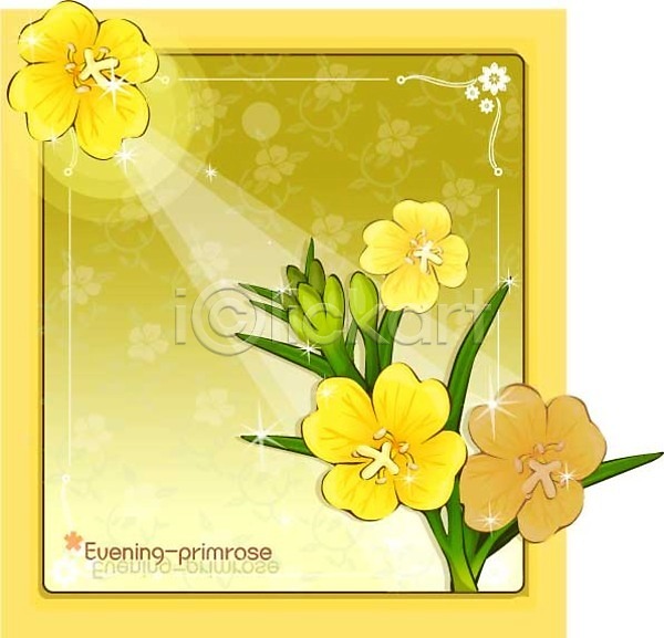 사람없음 EPS 일러스트 템플릿 꽃 꽃백그라운드 노란색 달맞이꽃 백그라운드 식물 여름꽃 자연 컬러
