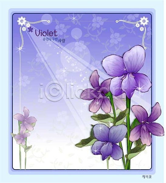 사람없음 EPS 일러스트 템플릿 꽃 꽃백그라운드 들꽃 백그라운드 보라색 봄꽃 식물 자연 제비꽃 컬러
