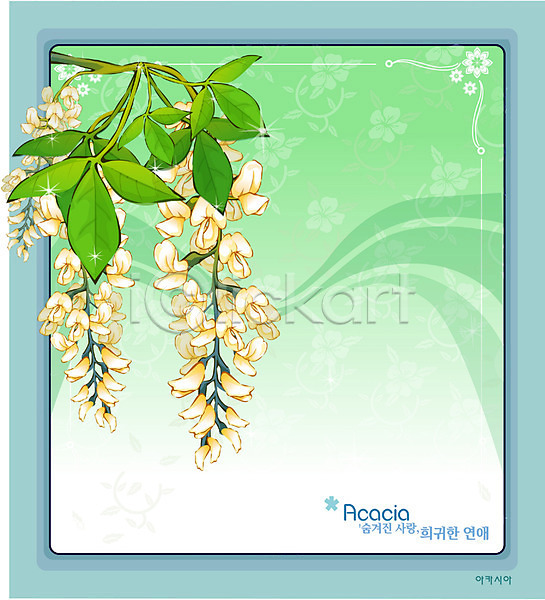 사람없음 EPS 일러스트 템플릿 꽃 꽃백그라운드 백그라운드 봄꽃 식물 아카시아 자연 흰색