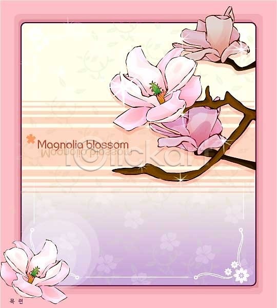 사람없음 EPS 일러스트 템플릿 꽃 꽃백그라운드 목련 백그라운드 봄꽃 분홍색 식물 자연
