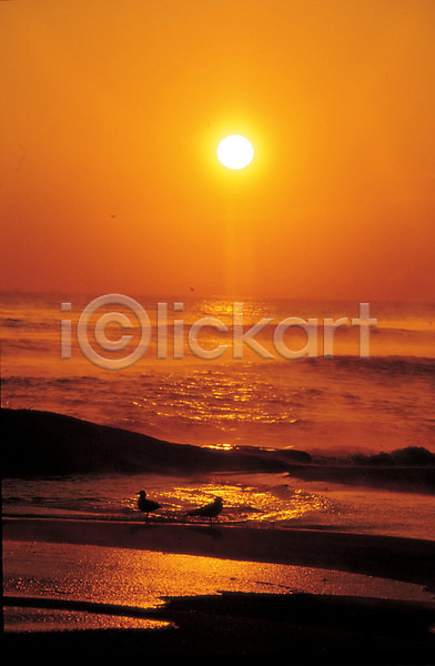 사람없음 JPG 포토 노을 바다 야외 일몰 일출 자연 주간 태양 풍경(경치) 하늘 해 햇빛