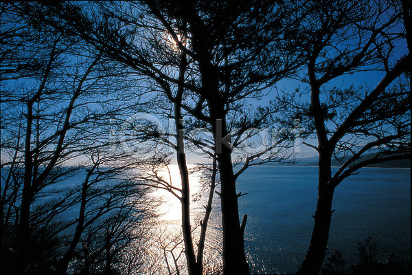사람없음 JPG 포토 강 나무 바다 야외 자연 주간 풍경(경치) 햇빛 호수