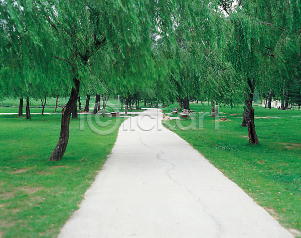 사람없음 JPG 포토 계절 공원 길 나무 사계절 산책로 식물 야외 여름(계절) 자연 주간 풍경(경치)