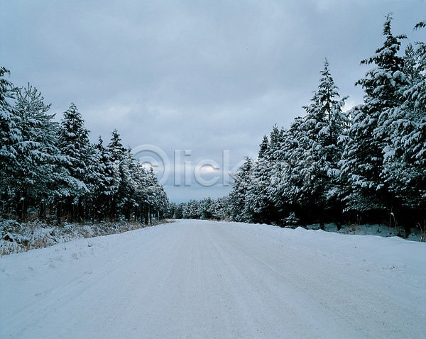 사람없음 JPG 포토 겨울 계절 구름(자연) 길 나무 눈(날씨) 도로 사계절 설경 설원 야외 자연 주간 풍경(경치) 하늘