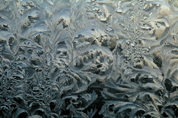 사람없음 JPG 포토 겨울 물 물방울 야외 얼음 얼음꽃 자연 주간 창문 풍경(경치)