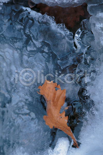 사람없음 JPG 포토 개울 겨울 계곡 계절 골짜기 나뭇잎 낙엽 물 사계절 야외 얼음 얼음꽃 자연 주간 풍경(경치)