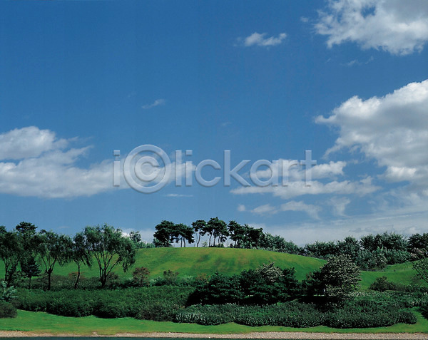 사람없음 JPG 포토 구름(자연) 나무 숲 야외 언덕 자연 잔디 주간 초원(자연) 풀(식물) 풍경(경치) 하늘