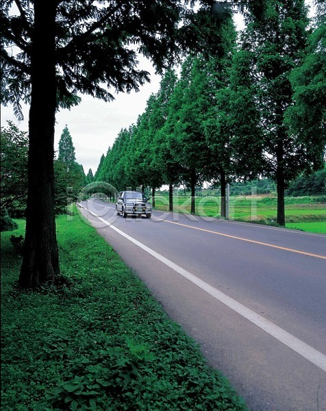 사람없음 JPG 포토 가로수 갓길 건축 교통 길 나무 도로 시설물 야외 육상교통 자동차 자연 주간 주행 풍경(경치) 현대건축