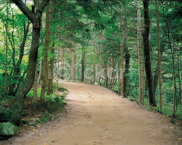 사람없음 JPG 포토 계절 길 나무 봄 사계절 산 산책로 숲 야외 오솔길 자연 주간 풍경(경치)
