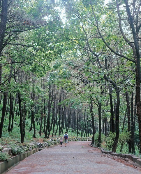 사람없음 JPG 포토 가족 계절 공원 길 나무 봄 사계절 산책로 수목림 숲 숲길 야외 자연 주간 풍경(경치) 휴양림
