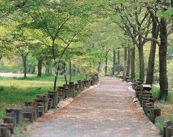 사람없음 JPG 포토 계절 공원 길 나무 봄 사계절 산책로 야외 자연 주간 풍경(경치) 휴양림