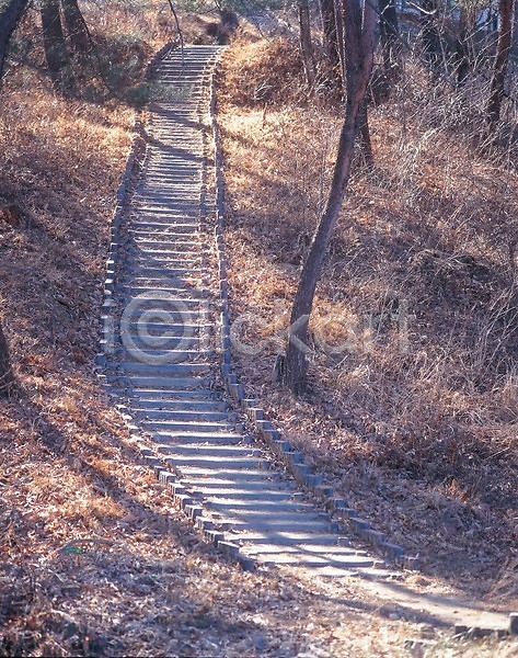 사람없음 JPG 포토 계단 길 나무 산길 식물 야외 여러그루 자연 주간 풀(식물) 풍경(경치)