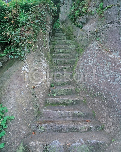 사람없음 JPG 포토 계단 길 나뭇잎 돌(바위) 돌계단 식물 야외 자연 주간 초록색 풀(식물) 풍경(경치)