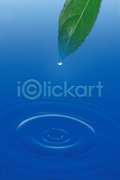 사람없음 JPG 포토 나뭇잎 물 물방울 수면 스튜디오촬영 식물 실내 잎 자연 초록색 파장