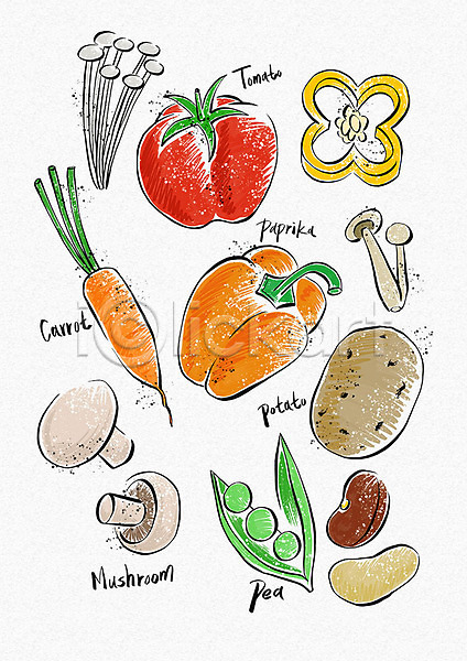 신선 사람없음 PSD 일러스트 감자 건강 건강관리 건강식 건강식품 다이어트 당근 버섯 양송이 웰빙 웰빙라이프 웰빙음식 유기농 채소 콩 토마토 파프리카