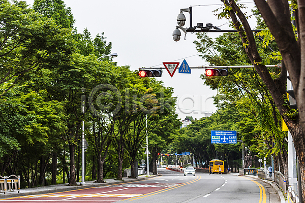 사회이슈 사람없음 JPG 포토 가로등 감시카메라 교통안전 나무 도로 도로표지판 버스 보안 야외 자동차 주간 표지판