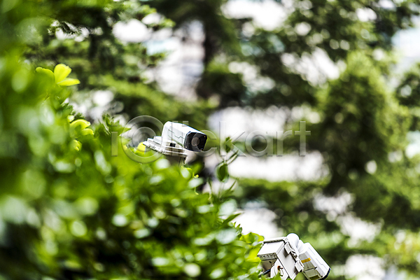 사회이슈 사람없음 JPG 소프트포커스 아웃포커스 포토 감시카메라 나뭇잎 보안 안전 야외 주간 풀숲